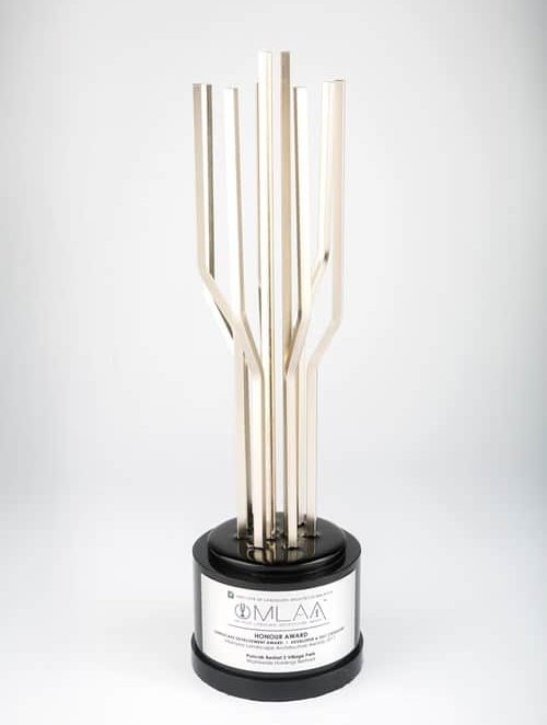 Award_06-500x662